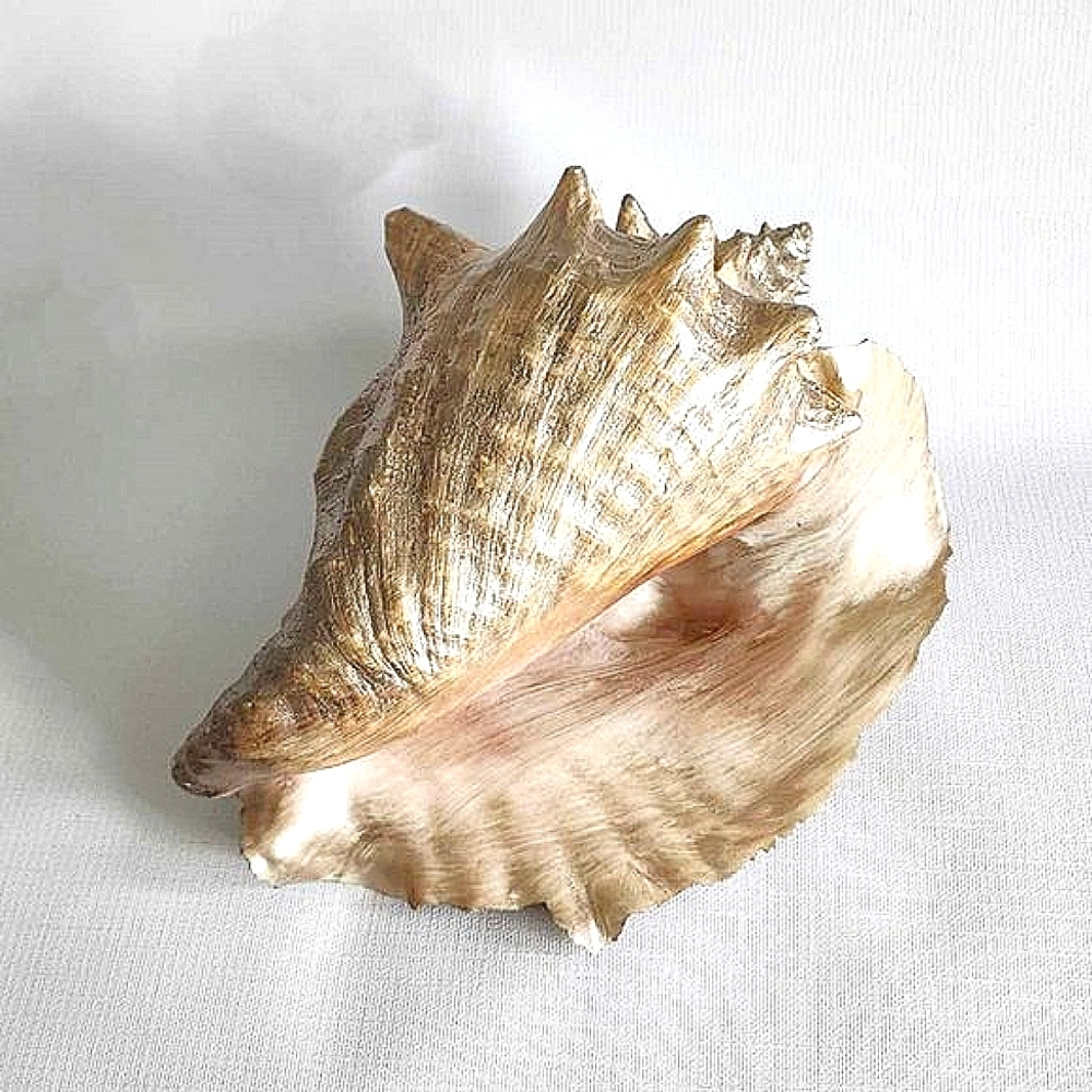 Gold conch shell - Picture 2 of 10